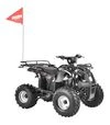 Квадроцикл акумуляторний HECHT 56150 HURON - 1