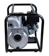 Мотопомпа бензиновая Aquatica AQ30CX для чистой воды (772532) - 4