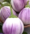 Насіння баклажану Б`янка Смуфаті ді Роса, 500 г (Hortus) - 1