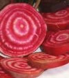 Насіння буряка Чіогіа Гардсмарк, п.о. 10 тис. насінин (Sakata) - 3