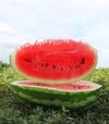 Семена арбуза ES 75077 F1, п.е. 500 семян (Ergon) - 1