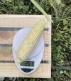 Насіння кукурудзи Айрон F1, п.о. 25 тис насінин (Spark Seeds) - 3