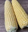 Насіння кукурудзи Світ Лакі F1, п.о. 2500 насінин (Spark Seeds) - 2