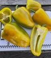 Семена перца Санта F1, п.е. 500 шт семян (Spark Seeds) - 6