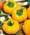 Семена перца Топепо Йеллоу, 500 г (Hortus) - 1