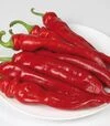 Насіння перцю КС 6215 F1, п.о. 500 насінин (Kitano Seeds) - 1