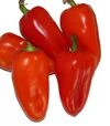 Семена перца Кирилл F1, 20 г (Ницcса) - 4