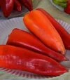 Насіння перцю Монанта, 5 г (Moravoseed) - 2