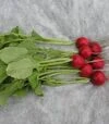 Семена редиса Прима, 250 г (Semo) - 1