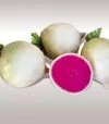 Семена редьки КС 730 F1, 50 г (Kitano Seeds) - 2