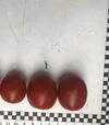 Семена томата Денвер F1, п.е. 250 семян (Spark Seeds) - 4