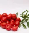 Насіння томату Чезена F1, п.о. 5 тис. насінин (Libra Seeds) - 4