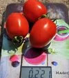 Семена томата Салерно F1, п.е. 5 тыс. семян (Libra Seeds) - 4