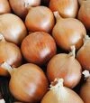 Семена репчатого лука Армина, 100 г (Moravoseed) - 2