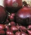 Насіння ріпчастої цибулі Кармен, 500 г (Semo) - 2