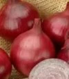 Насіння ріпчастої цибулі Кармен, 500 г (Semo) - 4