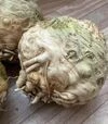 Семена сельдерея Вольт F1, 10 г (Lark Seeds) - 1