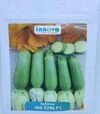 Насіння кабачка Ренді F1 (INX 5286), п.о. 500 насінин (Innova Seeds) - 8