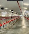 Труба для кормороздачі &Oslash;45 мм, 3 отвори - 2