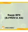 Экспресс-тесты VECHEK на антитела к вирусу ящура КРС (B.FMDV-A Ab), VIPFMA-302, 10 тестов - 2