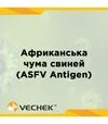Експрес-тести VECHEK для виявлення антигену ВАЧС у сироватці, плазмі або тканині (ASFV Ag), VIASFG-402, 10 тестів - 2