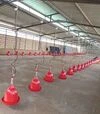 Поїлка дзвінкова автоматична River Systems для дорослої птиці 60-80 голів - 8