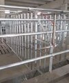 Труба н/ж для поилки на два выхода для станка осеменения Тип 1 - 3