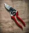 Секатор FELCO 8 &Oslash;25 мм, 210 мм + фірмова шапка - 3
