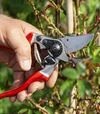 Секатор FELCO 8 &Oslash;25 мм, 210 мм + фірмова шапка - 4