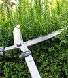 Кусторез Felco 250-63 (121000994202) - 3