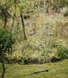 Ороситель осциллирующий Fiskars Solid S-M (1070835) - 4