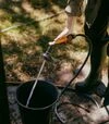 Шланг садовый Fiskars Solid 1/2", 25 м (1076060) - 5