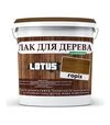Лак кольоровий акриловий Lotus для дерева Горіх Глянцевий, 3 л - 1