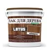 Лак кольоровий акриловий Lotus для дерева Кіпарис Глянцевий, 5 л - 1