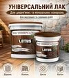 Лак акриловий Lotus Універсальний Прозорий Матовий, 10 л - 3