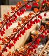 Саженец барбариса Тунберга Грин Карпет ЗКС 2г 1,5-2л - 2