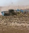 Борона пружинна AGROKALINA БПШ-10 посилена - 2