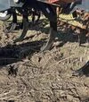 Глибокорозпушувач M&amp;W Earthmaster, 7 лап, опорні колеса, б/в - 2