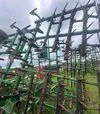 Культиватор John Deere 960, 9,6 м, з пружинною бороною, б/в - 5