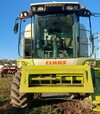 Зернозбиральний комбайн Claas Lexion 560, 2008 р.в, б/в - 2