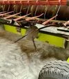 Зерноуборочный комбайн Claas Lexion 770, 2011 г.в, 2300 м/ч, б/у - 6