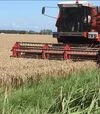 Зерноуборочный комбайн Massey Ferguson 34, 1990 г.в, 3235 м/ч, б/у - 2