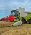 Зернозбиральний комбайн Claas Lexion 650, 2017 р.в, 1469 м/год, б/в - 1