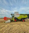 Зернозбиральний комбайн Claas Lexion 650, 2017 р.в, 1469 м/год, б/в - 2