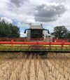 Зернозбиральний комбайн Claas Lexion 750, 2019 р.в, 2100 м/год, б/в - 4
