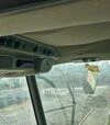 Зернозбиральний комбайн Claas Lexion 460, 1997 р.в, 4111 м/год, б/в - 5