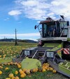Зерноуборочный комбайн Claas Lexion 450, 2002 г.в, 1210 м/ч, б/у - 1