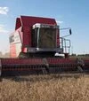 Зернозбиральний комбайн Massey Ferguson 7278 Cerea, 2004 р.в, 2350 м/год, б/в - 2