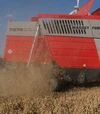 Зернозбиральний комбайн Massey Ferguson 7278 Cerea, 2004 р.в, 2350 м/год, б/в - 4