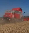 Зернозбиральний комбайн Massey Ferguson 7278 Cerea, 2004 р.в, 2350 м/год, б/в - 5